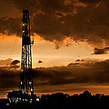 Black Gold
